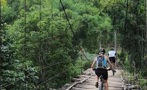 Untamed Borneo Bicycle Tour 11 Days